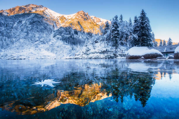istock Christmas mood of nature 1077204486