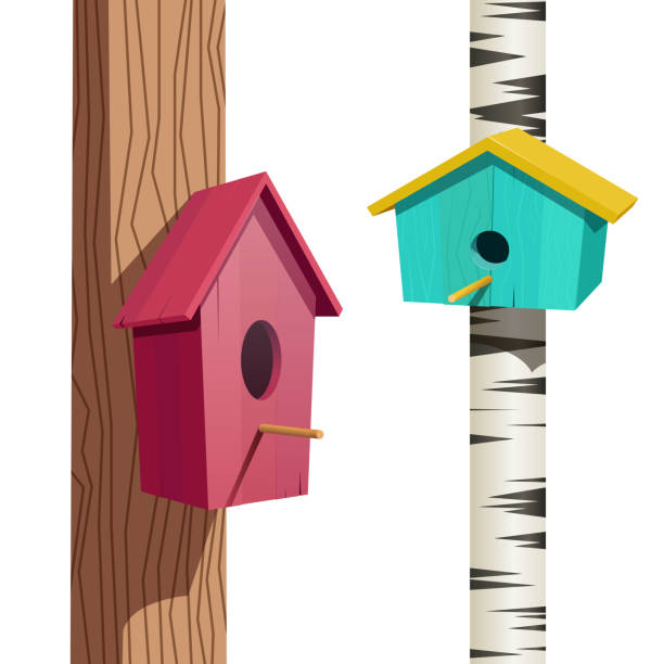 ilustraciones, imágenes clip art, dibujos animados e iconos de stock de casas de madera del pájaro - birdhouse wood isolated white background