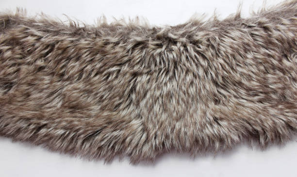 istock Strip of grey-brown fur on white 1077206814