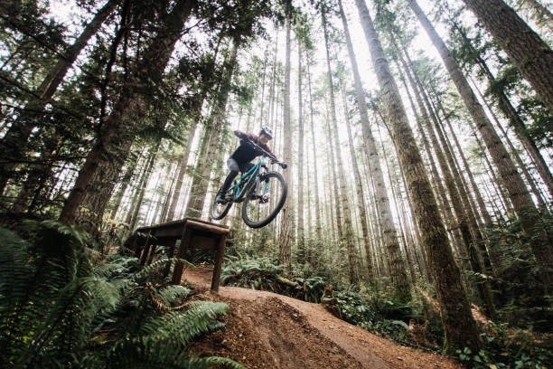istock Woman Mountain Biking On Forest Trails 1077206964