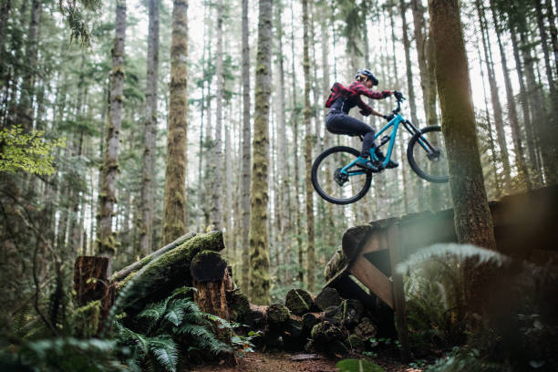 istock Woman Mountain Biking On Forest Trails 1077208662