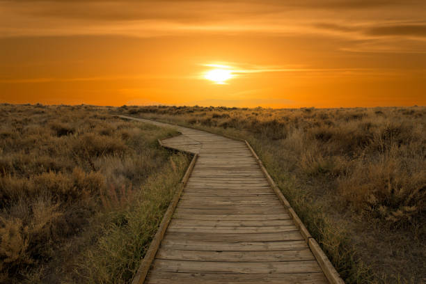 istock A sunset by the tables of daimiel 1077209124
