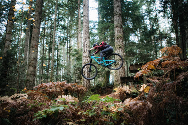 mujer ciclismo de montaña en senderos del bosque - mountain biking fotografías e imágenes de stock