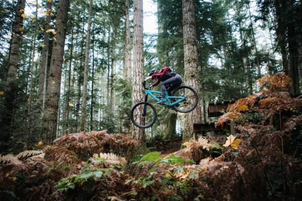 Woman Mountain Biking On Forest Trails An adult woman on a mountain bike flies through the air off of a jump on a Pacific Northwest forest mountain bike trail.  Shot in Issaquah, Washington, USA. mountain bike stock pictures, royalty-free photos & images