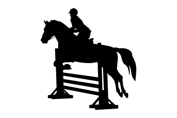 ilustrações de stock, clip art, desenhos animados e ícones de horse show jumping competition - hurdling hurdle vector silhouette