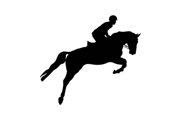 ilustrações de stock, clip art, desenhos animados e ícones de equestrian sport man rider - hurdling hurdle vector silhouette