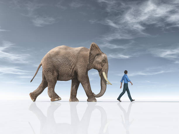 istock The man goes together with a big elephant. This is a 3d render illustration. 1077220432