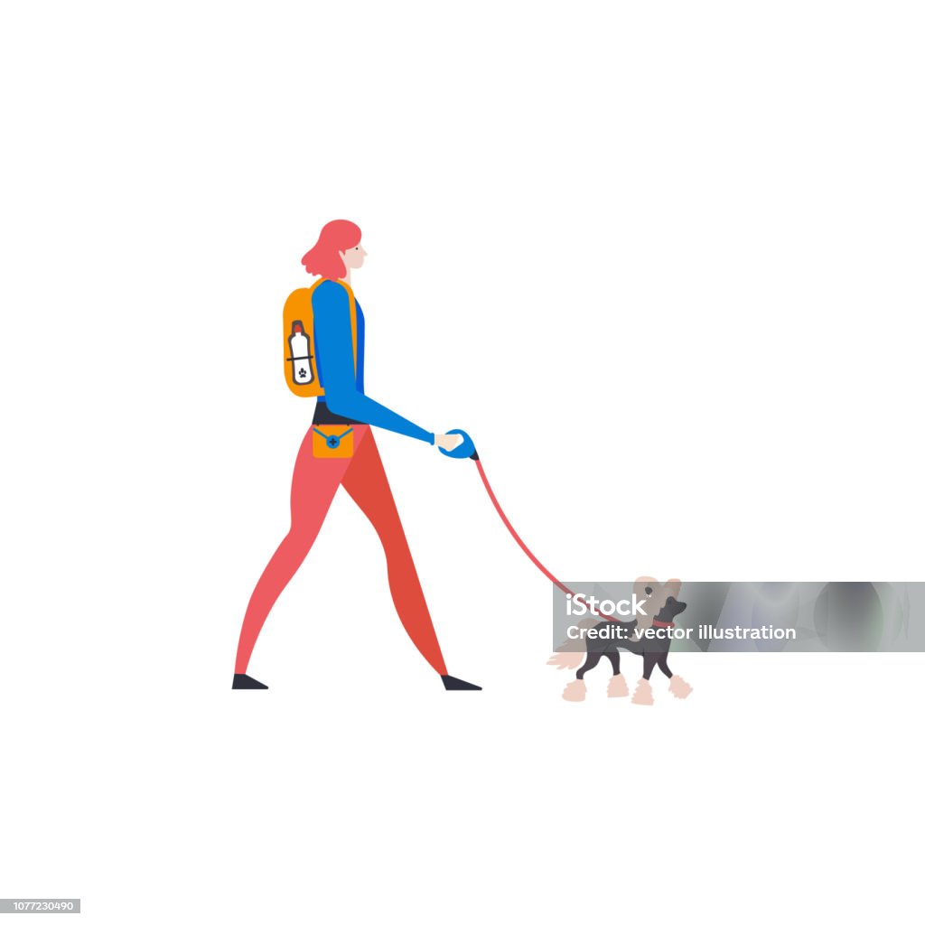 Сartoon style icons of chinese crested and personal dog-walker. Cute girl with pet outdoors. Vector illustration. Сartoon style icons of chinese crested and personal dog-walker. Cute girl with pet outdoors. Adult stock vector