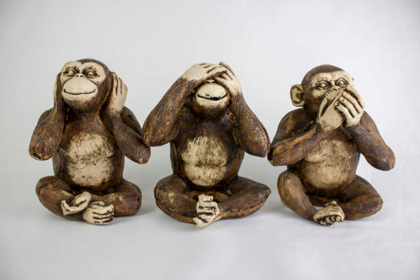 Three Wise Monkeys in a row, Hear no evil, See no evil, Speak no evil, brown monkeys on a white background. stock photo