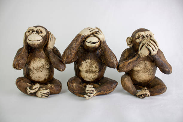 trzy wise monkeys z rzędu, hear no evil, see no evil, speak no evil, brown monkeys on a white background. - see no evil hear no evil speak no evil zdjęcia i obrazy z banku zdjęć