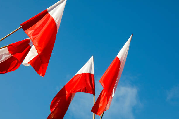 istock The flags of Poland are against the blue sky 1077240738