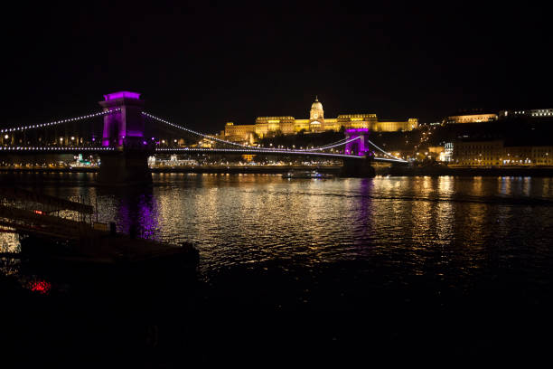 chain bridge at night - chain bridge budapest bridge lion imagens e fotografias de stock