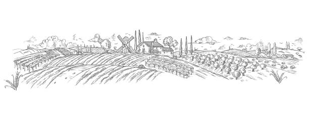 농촌 풍경 손으로 그린 공장입니다. 벡터 일러스트 레이 션 - village landscape stock illustrations