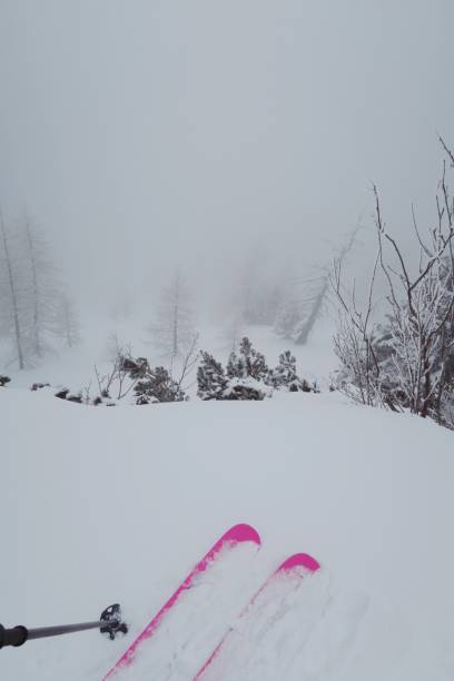 istock Tour skiing between tall snowy spruce trees / deep snow / powder 1077254154