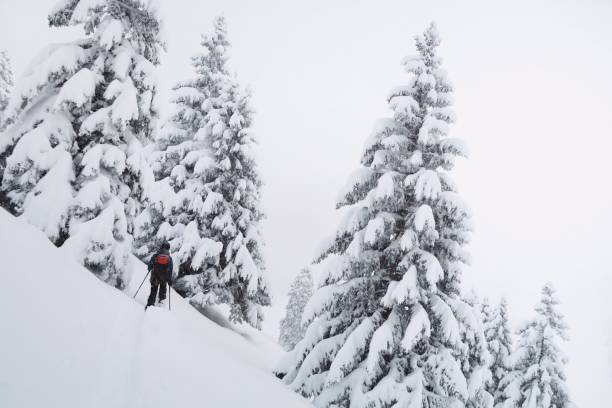 istock Dangerous ski touring through the forest with a deep snow / powder 1077254618