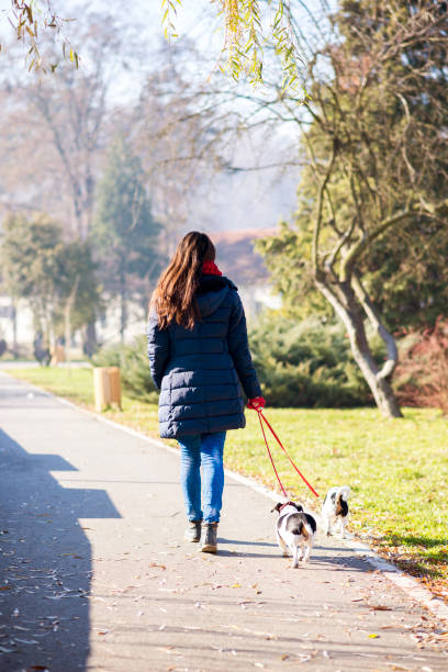 istock Girl petting the dog 1077254934