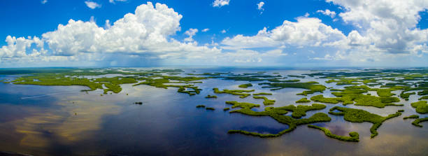 Ten Thousand Islands NP Aerial, FL stock photo