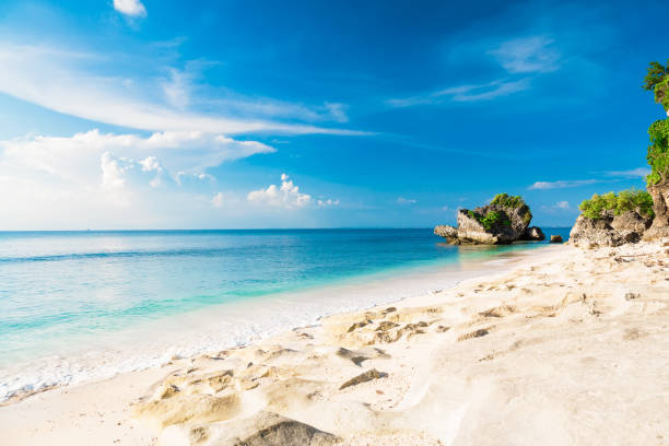 Tropical beach with blue ocean and blue sky in tropical island