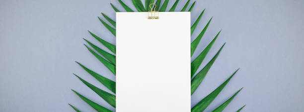 istock Mockup blank white postcard tropical palm leaves 1077259470