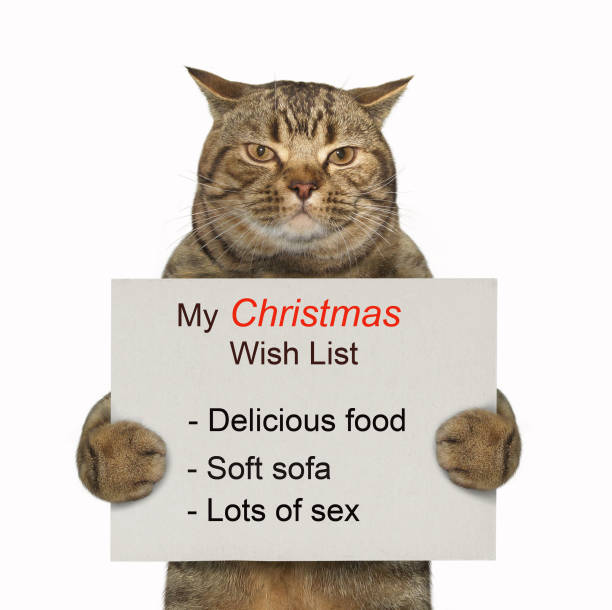 istock Cat holds the Christmas wish list 1077259738
