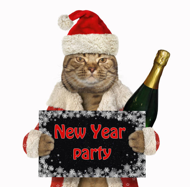 istock Cat Santa holds the sign 2 1077259744