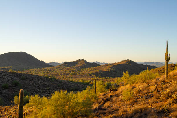 istock Morning Desert Landscape 1077262726
