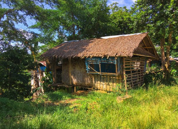 istock Coconut palm leaves house 1077262786