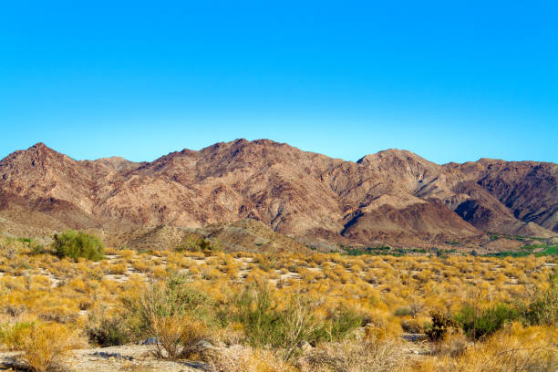 gama de la montaña en el valle de coachella en california - brittlebush fotografías e imágenes de stock