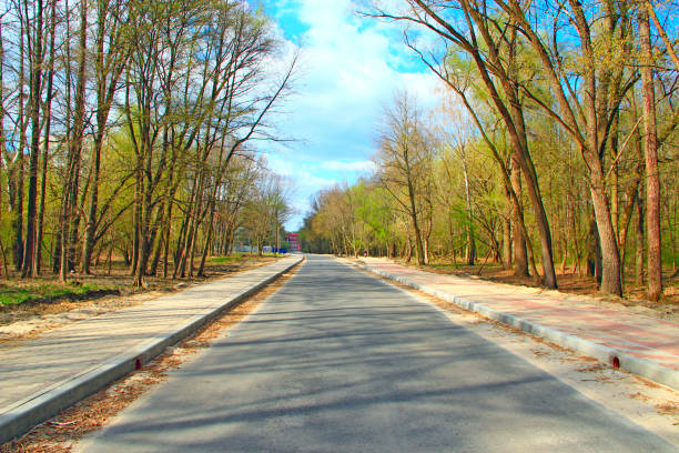 asphalted road with pavement in spring park - 11262 imagens e fotografias de stock