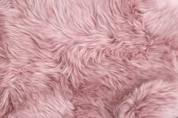 Pink sheep fur. Natural sheepskin rug background texture