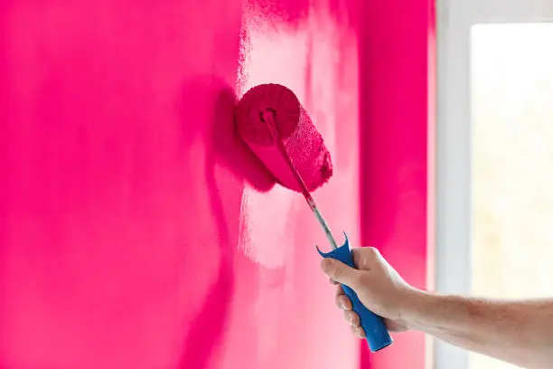 Male hand painting wall with paint roller. Painting apartment, renovating with hot pink color paint