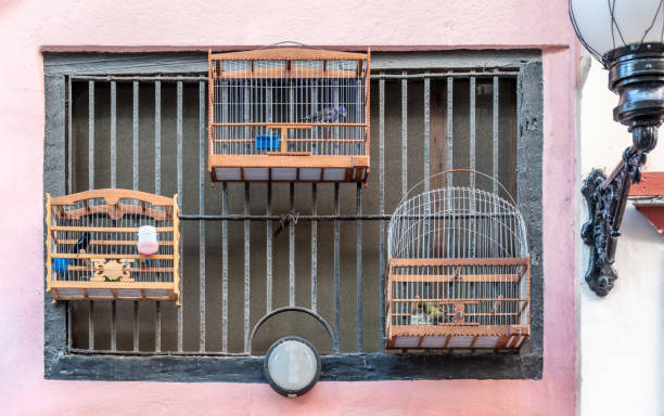 istock Three small bird cages in Havana 1077277140