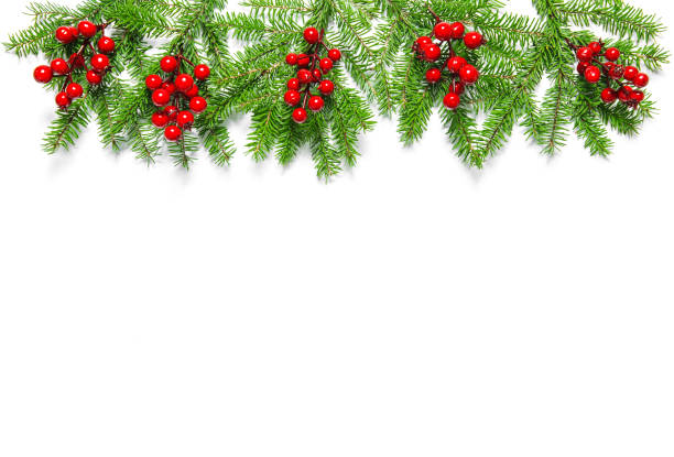 istock Christmas decoration pine branches red berries 1077285524
