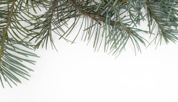 istock Christmas background with spruce and decorations 1077289230