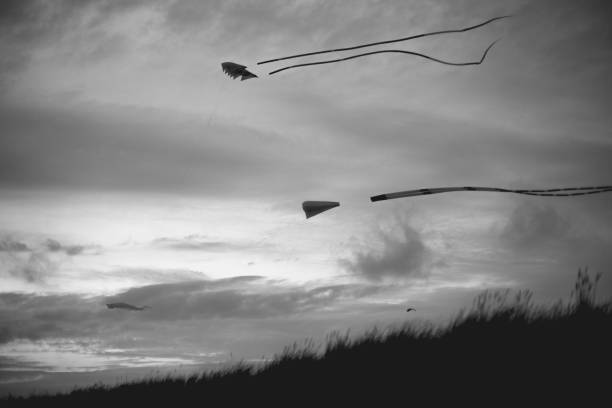 Kite Festival on the beach of Texel in the Netherlands. Watching the big Kites up in the sky from the dunes. Black and White stock photo