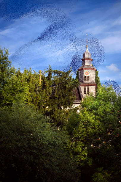 istock Christianity Religion Temple Church Building 1077302340