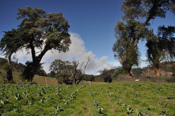 Eruption of Turrialba volcano in Costa Rica seen from the slope of Irazu volcano. Eruption of Turrialba volcano in Costa Rica seen from the slope of Irazu volcano. irazu stock pictures, royalty-free photos & images