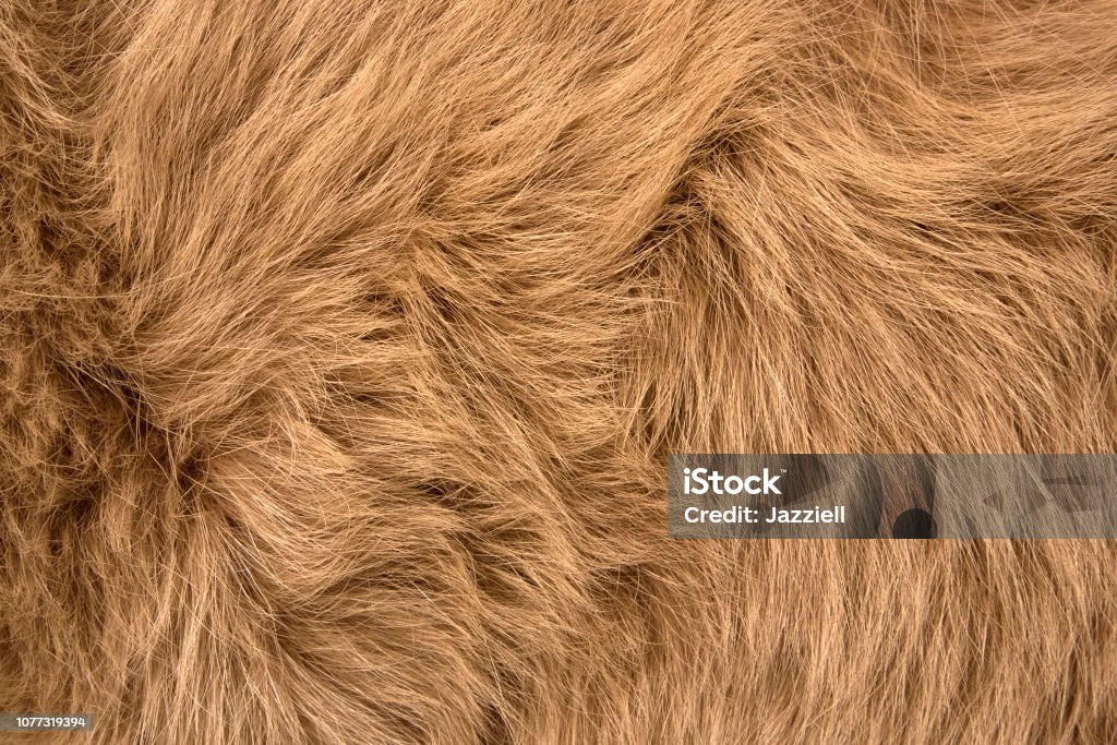 Натуральный мех красной полярной лисы крупным планом - Стоковые фото Абстрактный роялти-фри