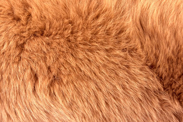 wool texture background
