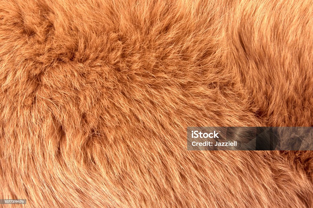 Натуральный мех красной полярной лисы крупным планом - Стоковые фото Абстрактный роялти-фри
