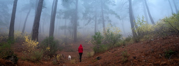 A Woman and her dog walking on a foggy Forest