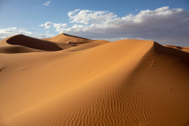 istock Sunrise in Erg Chebbi, Merzouga, Morocco 1077332060