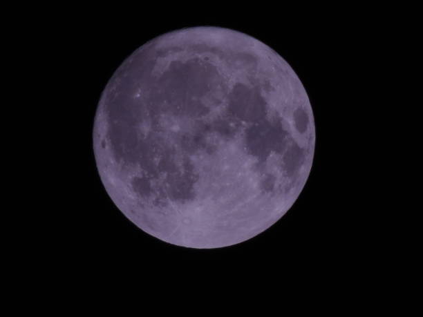 istock Man of the Moon 1077336028