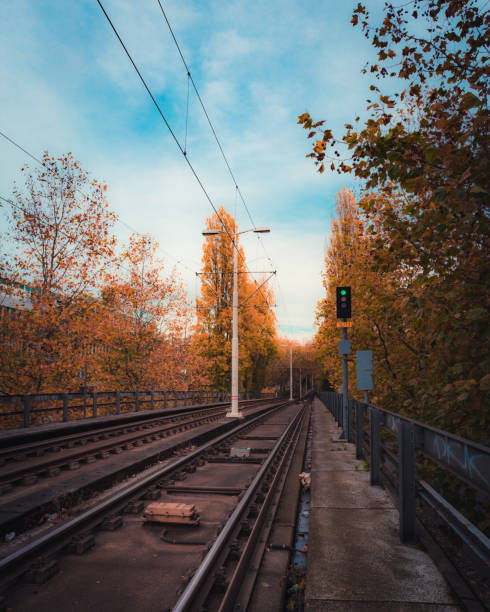istock Autumn in The Hague 1077356144