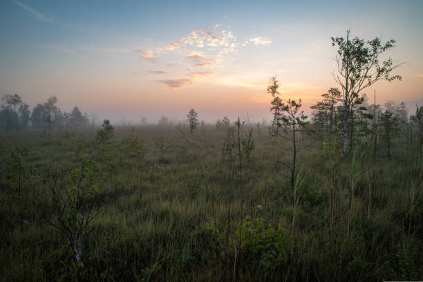 wonderful nature landscape, mysterious nature, a wonderful landscape image of pure nature, high resolution, morning sunrise photo, very beautiful scenic landscape photography