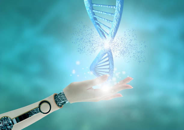 istock Robot hand holding dna chain. crispr technique for editing and genetic manipulation. 3D rendering 1077371576