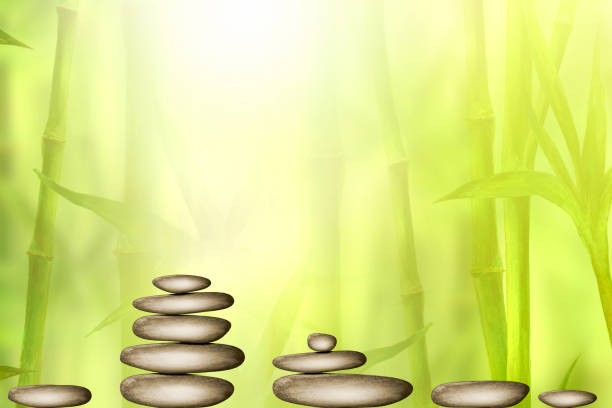 ilustrações de stock, clip art, desenhos animados e ícones de spa still life background with zen stones and green bamboo forest. space for text. - arrangement asia backgrounds balance