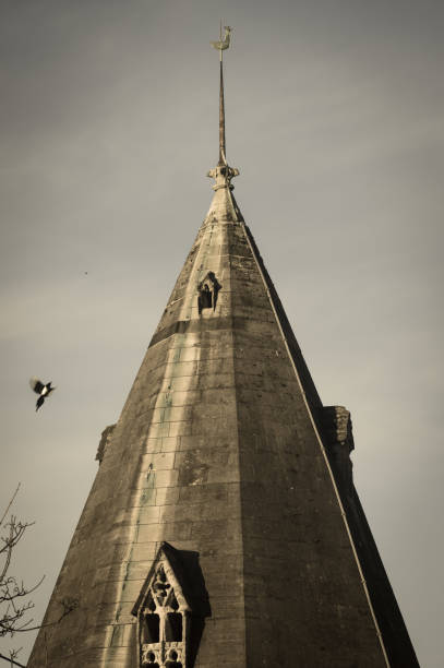 guglia di una torre della chiesa, palette meteo e gazza in volo - roof roof tile rooster weather vane foto e immagini stock