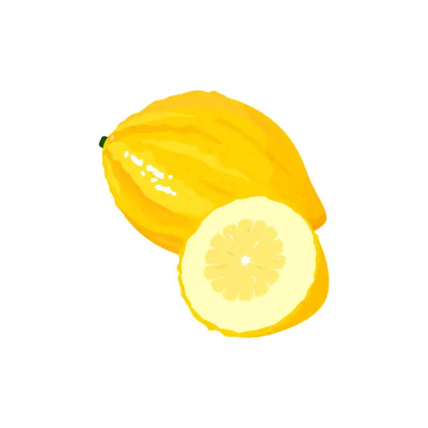 Vector illustration of Cartoon fresh citron isolated on white background