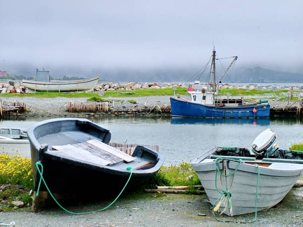 istock Outport Village in Newfoundland 1077407342